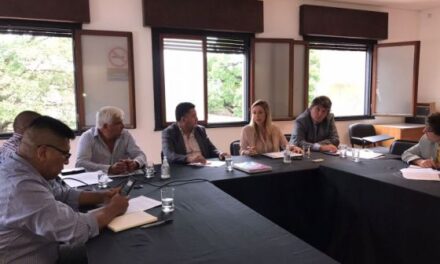 El Gobierno presentó ante el Senado un informe de la gestión minera provincial