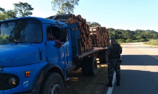 Intensifican los controles para combatir la extracción y transporte ilegal de madera