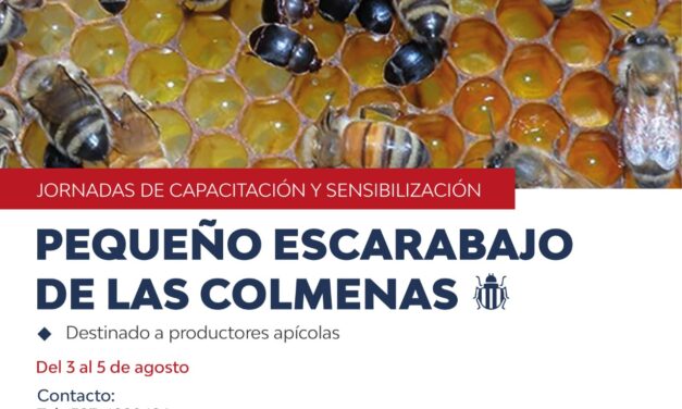 Pequeño Escarabajo de las Colmenas: se realizarán jornadas de capacitación y sensibilización