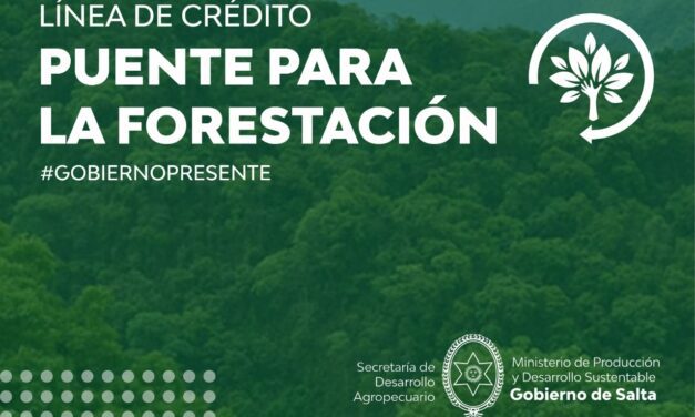 La Provincia impulsa el crecimiento del sector forestal a través de la Línea de Crédito Puente