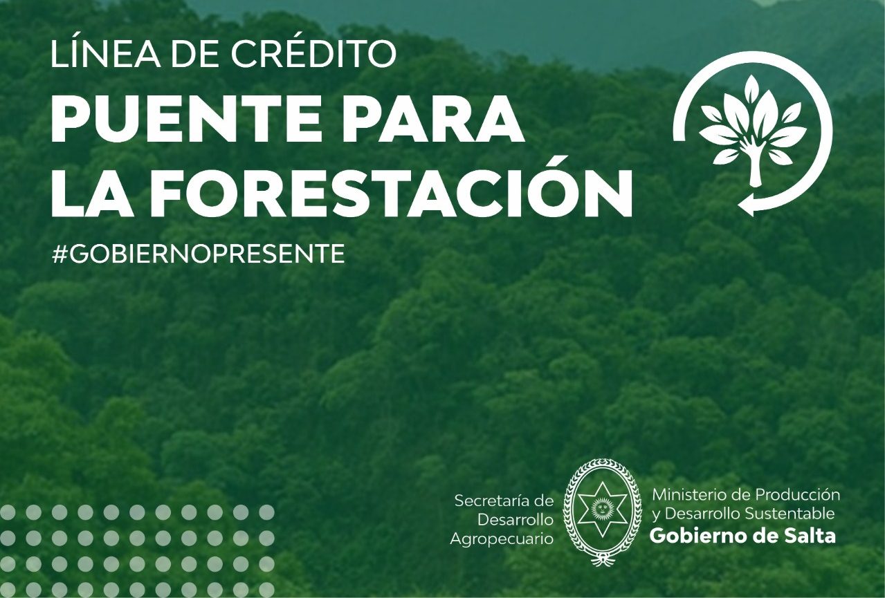 La Provincia impulsa el crecimiento del sector forestal a través de la Línea de Crédito Puente