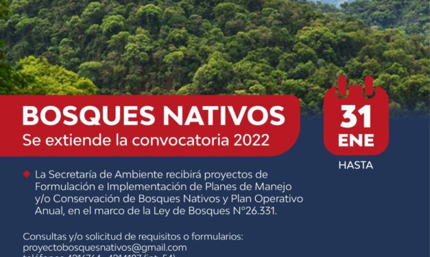 Extienden la convocatoria para la presentación de proyectos de Manejo y Conservación de Bosques Nativos