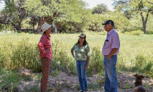 Relevamiento a pequeños productores de Cafayate afectados por el desborde del río las Conchas