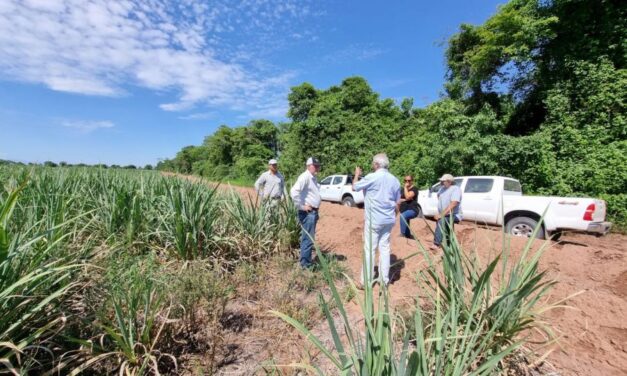 Sequía: realizaron un relevamiento a productores de caña de azúcar