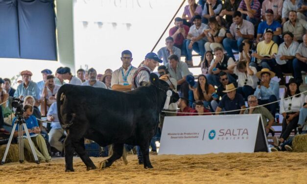 Salta acompañó a los productores ganaderos en el Congreso Mundial Brangus 2023