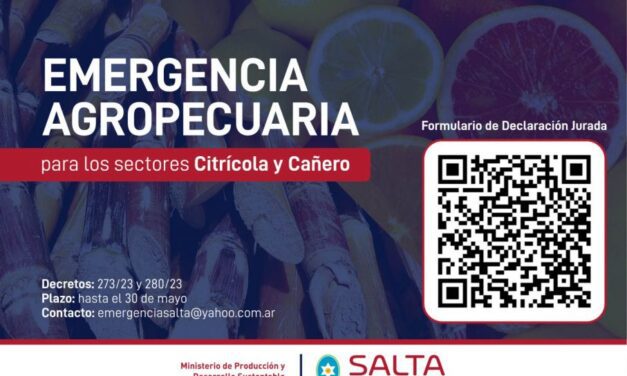 Emergencia para los sectores cañero y citrícola: el 30 de mayo vence el plazo para presentar declaraciones juradas