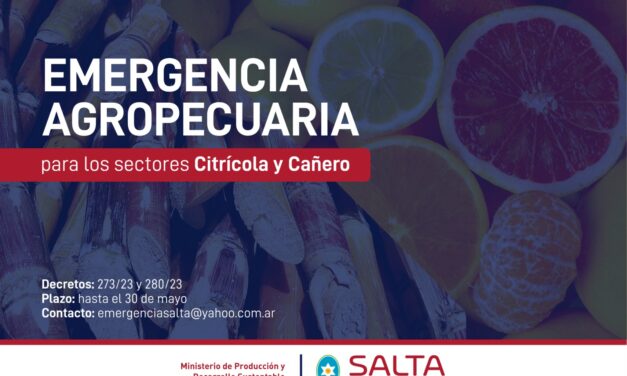 Emergencia para los sectores cañero y citrícola: el 30 de mayo vence el plazo para presentar declaraciones juradas