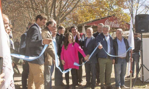 Durante todo el fin de semana, los salteños podrán visitar Argencarne NOA 2023 en la Rural