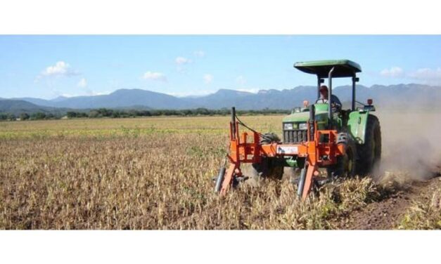 A pesar de la sequía histórica, arrancó la cosecha gruesa en Salta