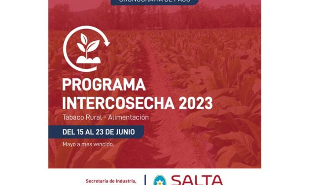 El jueves 15 de junio comenzará el pago del programa Intercosecha