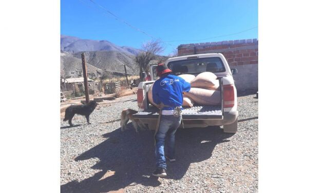 Pequeños productores de la Quebrada del Toro recibieron forraje para alimentación de ganado