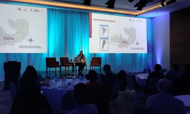 Ponen en valor la importancia estratégica de Salta en el desarrollo minero argentino