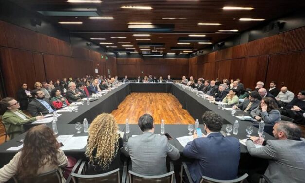 Salta participó en la primera reunión del Consejo Federal para el Desarrollo de la Industria del Cáñamo y Cannabis Medicinal