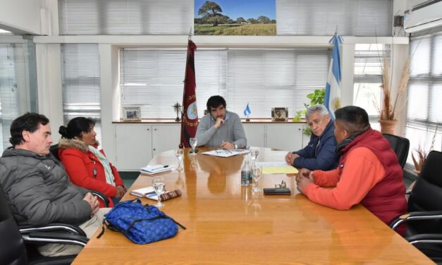 Impulsan un proyecto de esquilado mecánico de llama en San Antonio de los Cobres