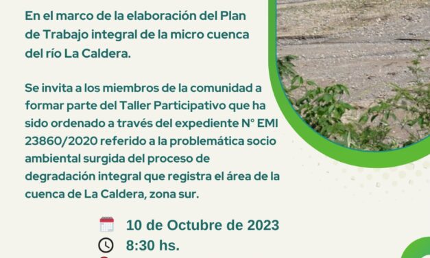 Taller Participativo