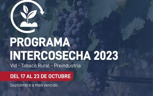 Continúa el pago del programa Intercosecha