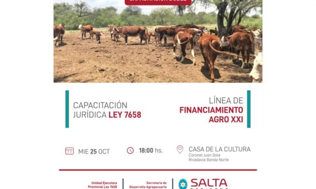 Regularización Dominial: se realizarán capacitaciones en Coronel Juan Solá y Fortín Dragones