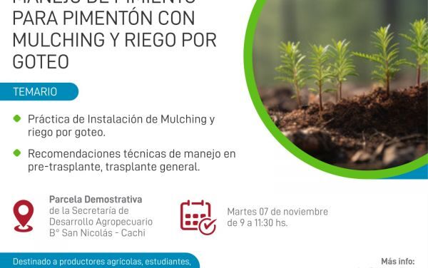 Cachi: capacitarán sobre manejo del pimiento para pimentón