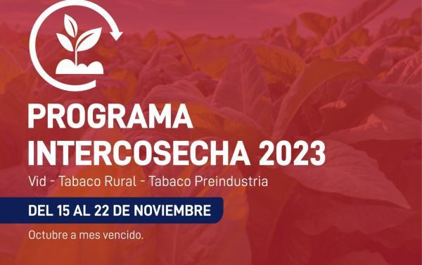 El miércoles 15 de noviembre comenzará el pago del programa Intercosecha