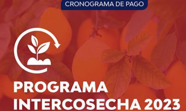 Comenzó el pago del programa Intercosecha