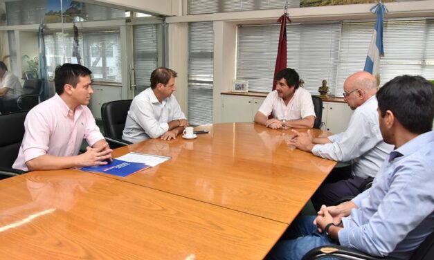 Industria vitivinícola: el Gobierno financiará capital de trabajo en el marco de la vendimia