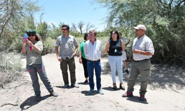 El Gobierno pone en marcha un plan de restauración ecológica en Cafayate