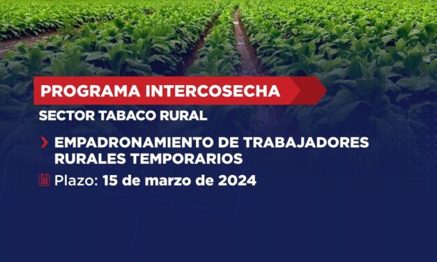 Intercosecha: Hasta el 15 de marzo se empadronará a obreros del sector tabaco rural