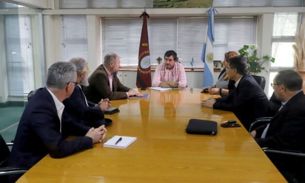 El proyecto de litio Centenario-Ratones comenzará su producción en la segunda mitad del año