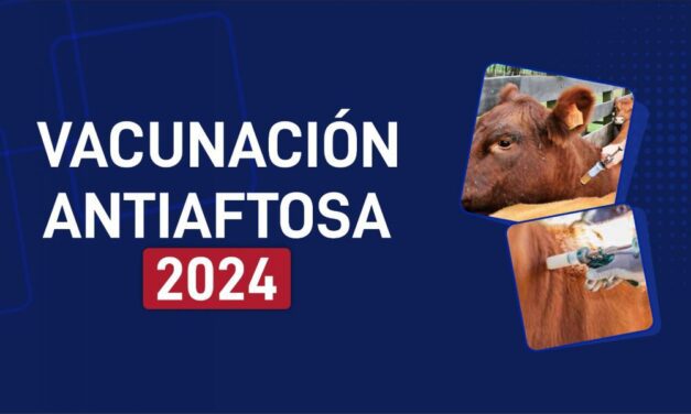 Vacunación Antiaftosa 2024: en abril comienza la primera campaña
