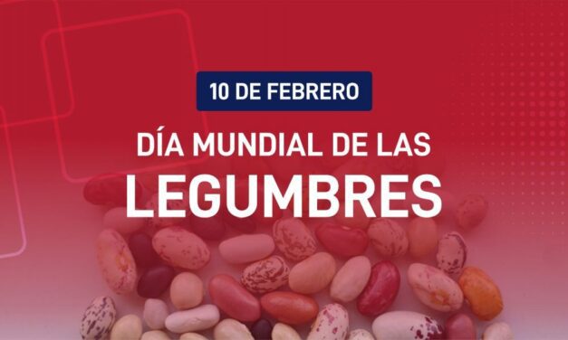 Día mundial de las legumbres: Salta es la principal productora y exportadora de porotos del país
