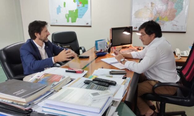 Litio: coordinan una agenda de trabajo con la Unión Europea