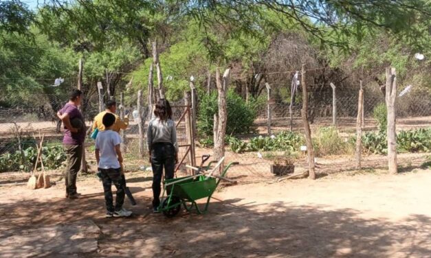 Horticultores originarios recibieron herramientas para continuar con sus huertas e invernaderos comunitarios