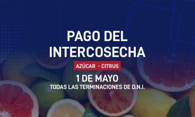 Mañana cobrarán los beneficiarios del programa Intercosecha