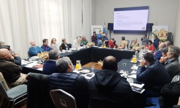 Provincias del NOA evaluaron estrategias para el manejo y control de la Chicharrita del Maíz