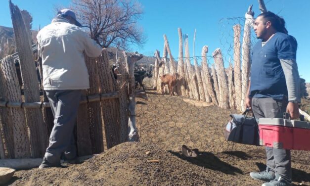 Pequeños productores de Payogasta recibieron capacitación en manejo de cultivos y sanidad animal