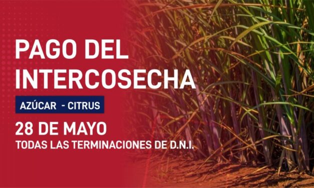 Mañana se pagará el programa Intercosecha