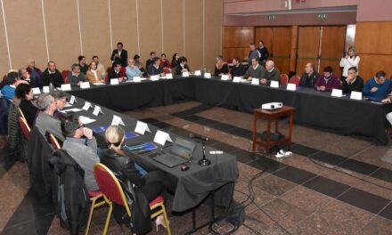 Chicharrita del Maíz: especialistas fijaron recomendaciones para la próxima campaña