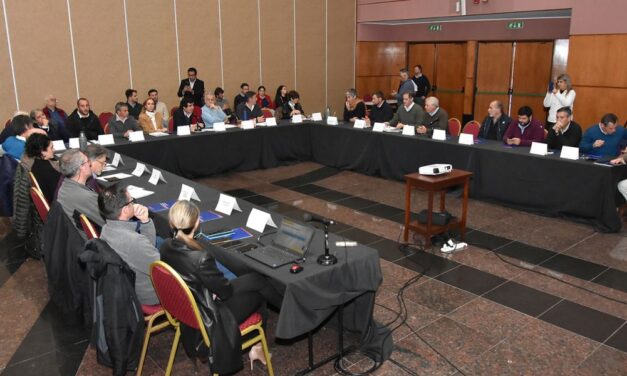 Chicharrita del Maíz: especialistas fijaron recomendaciones para la próxima campaña