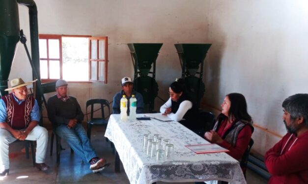 Promocionan el agregado de valor a la producción de pimiento para pimentón en Animaná