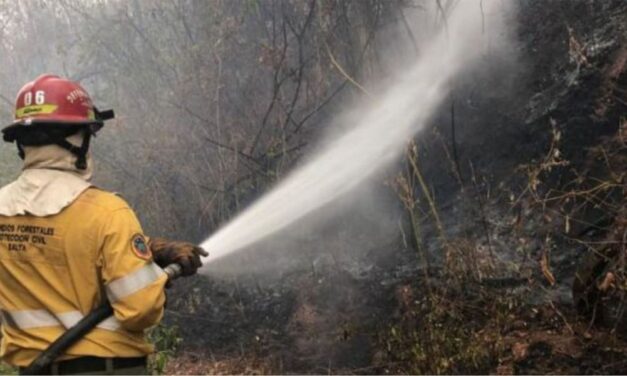 Temporada de riesgo de incendios forestales: el Gobierno insta a extremar las medidas de precaución