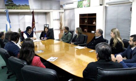 El Gobierno y la Cámara de la Minería analizaron la actualidad de la actividad en Salta