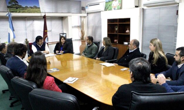 El Gobierno y la Cámara de la Minería analizaron la actualidad de la actividad en Salta