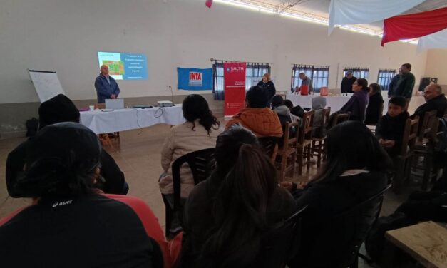 Fomentan la producción de hortalizas en el departamento de La Viña