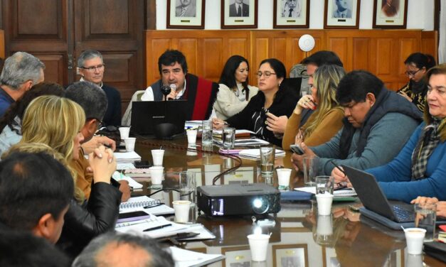 RIGI: el Ejecutivo Provincial explicó el impacto económico y social que tendría su adhesión en Salta