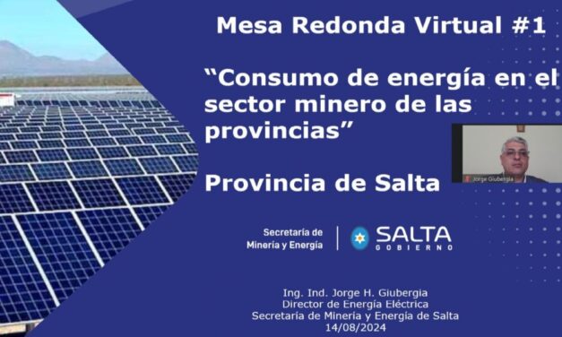 Salta participó en la Mesa Redonda Internacional sobre Consumo de Energía en el Sector Minero