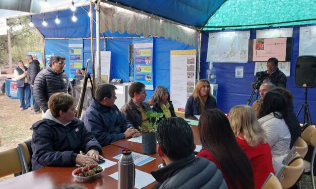 Se realizó una nueva reunión de Mesa Institucional del sector frutillero salteño