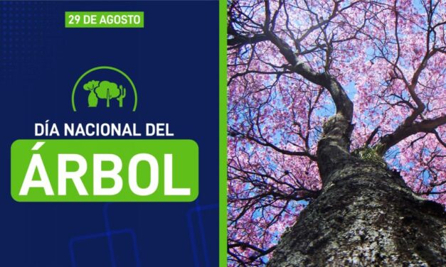 29 de agosto: Día Nacional del Árbol