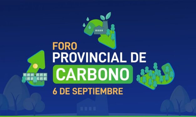 Mañana se realizará el primer Foro Provincial de Carbono