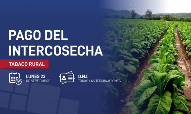 Hoy se pagará el programa Intercosecha para el sector tabaco rural