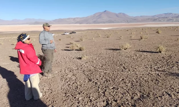 Proyecto Arizaro Norte: El Gobierno participó en el monitoreo ambiental participativo